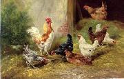 unknow artist Cocks 126 oil painting picture wholesale